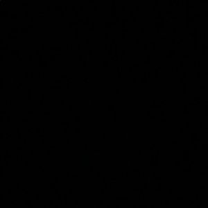 Meet your Posher, Vincent